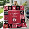 Chicago Bulls Quilt