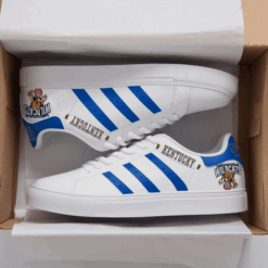 Kentucky Wildcats Stan Smith Shoes